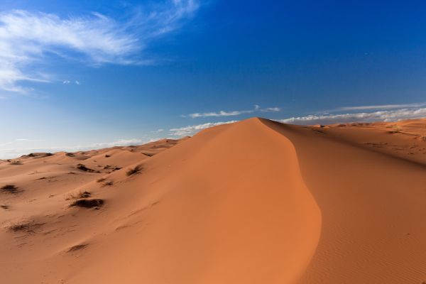 Sahara
